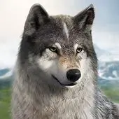 Wolf image